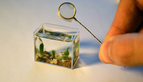 world smallest aquarium