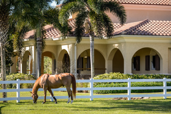 equestrian ranch Jupiter