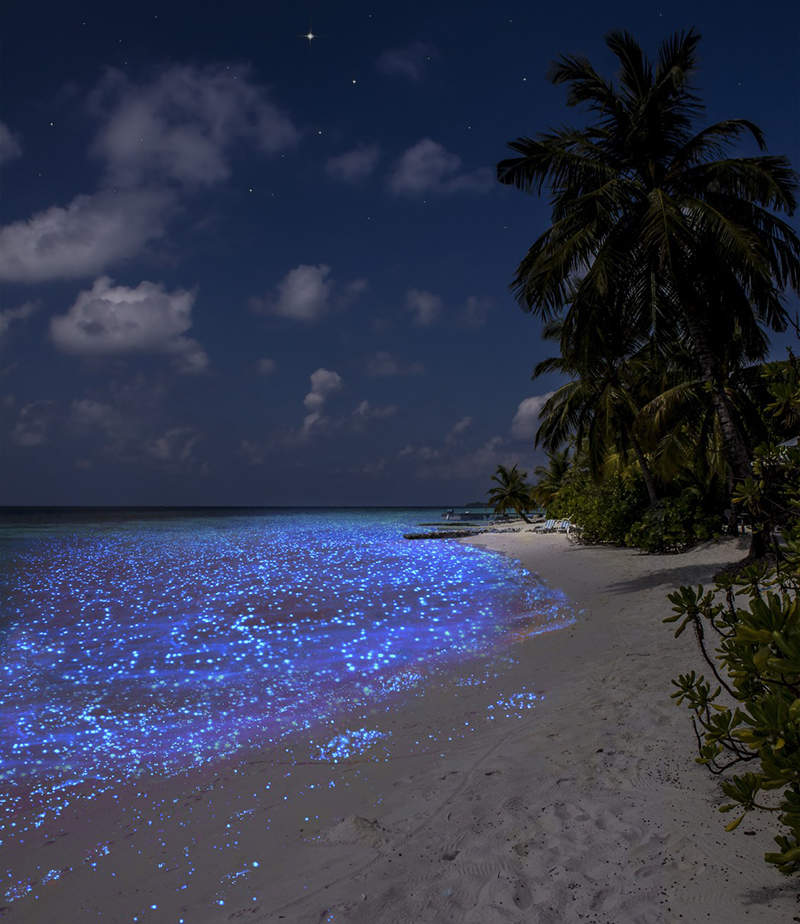 Vaadhoo Island Glowing Beach