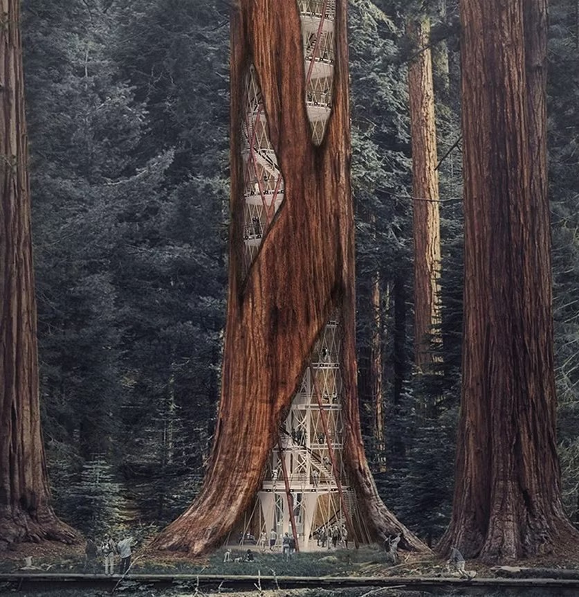 Casa del árbol de Sequoia