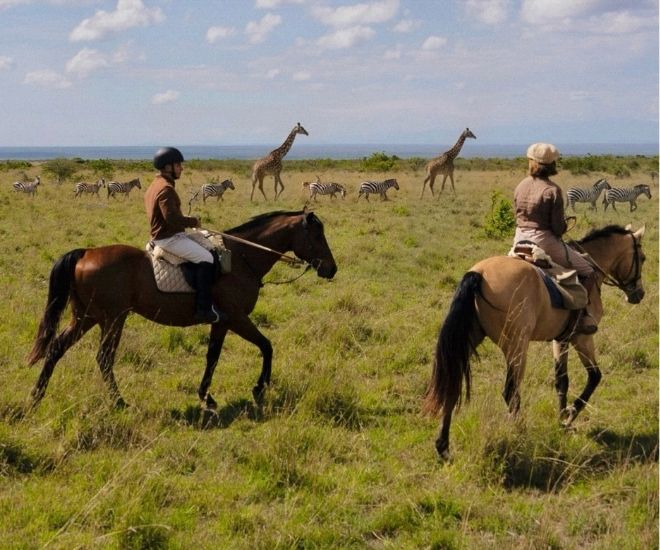 Six Enchanting Escapes for 2026